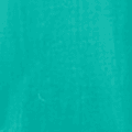 Mint Mint